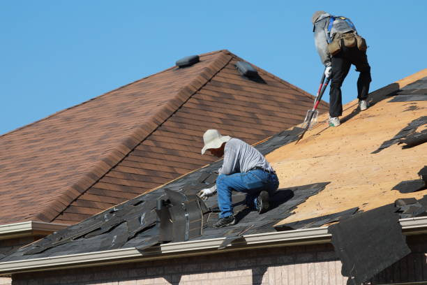 Best Slate Roofing  in Cortland West, NY