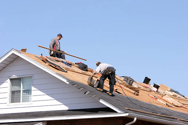 Best Commercial Roofing Services  in Cortland West, NY